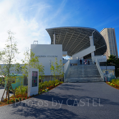 神戸須磨シーワールド：ドルフィンスタディアム