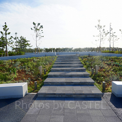 神戸須磨シーワールドには4つのエリアが！