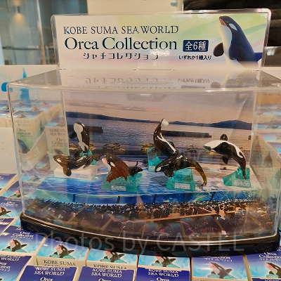 神戸須磨シーワールドのお土産グッズ：シャチコレクションブラインドBOXフィギュア