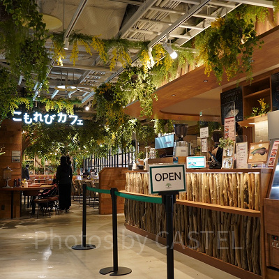 こもれびカフェ