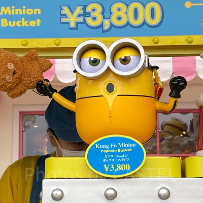 カンフーミニオンバケツ