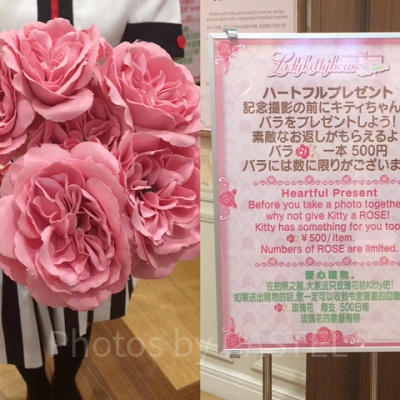 レディキティハウス　バラの花