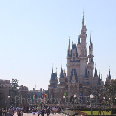 ランドかシーか？果たして･･･