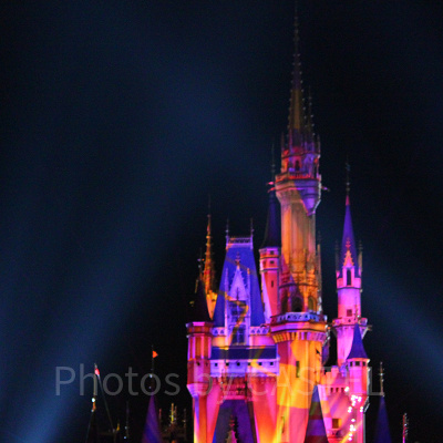 抽選にチャレンジしてショーを観よう