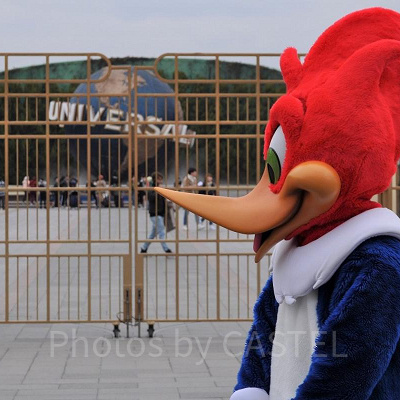 エクスプレスパスの注意事項を確認しておきましょう!