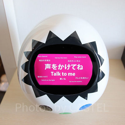 タピアと遊ぼう！