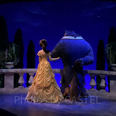 実写版「美女と野獣」王子