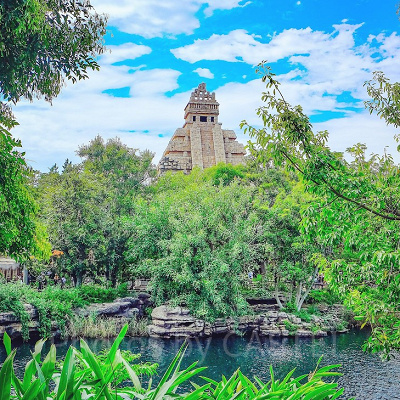 ロストリバーデルタの写真