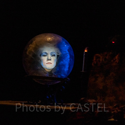 マダム・レオタ（ディズニーランドのホーンテッドマンションで撮影）