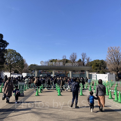 上野動物園正門／上野動物園