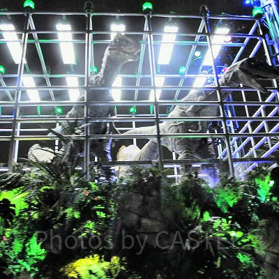 『ジュラシック・ワールド/新たなる支配者』のメイジー