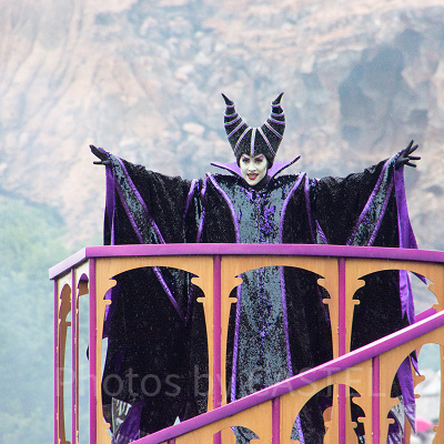 ディセンダントのマル