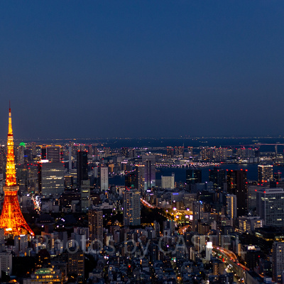 東京観光にも便利な立地のホテルが多い