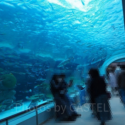 普通の土日にも多くの人が利用しています