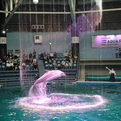 マクセル アクアパーク品川