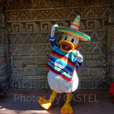 かわいいドナルドに会える！