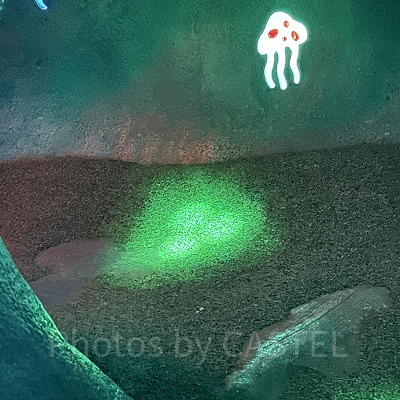 マーメイドラグーン隠れミッキー