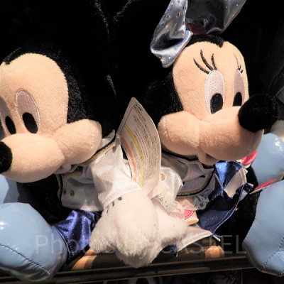 ミッキーとミニー