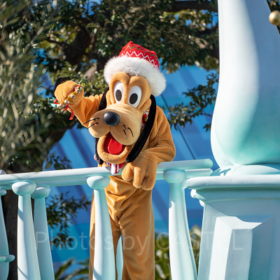 ミッキー＆フレンズのグリーティングパレード：ディズニー・クリスマス