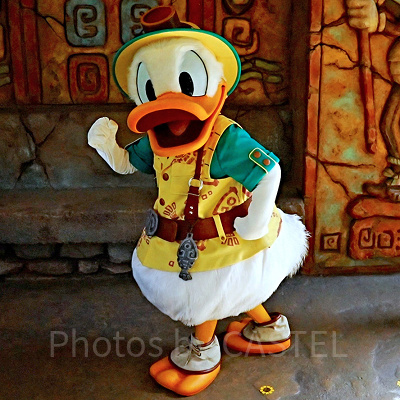 ミッキー＆フレンズ・グリーティングトレイル：ドナルド