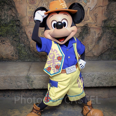 ミッキー＆フレンズ・グリーティングトレイル