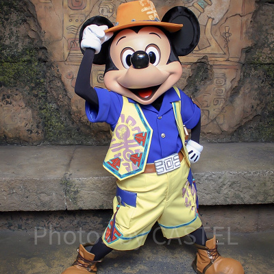 ミッキー＆フレンズ・グリーティングトレイル(ミッキー)