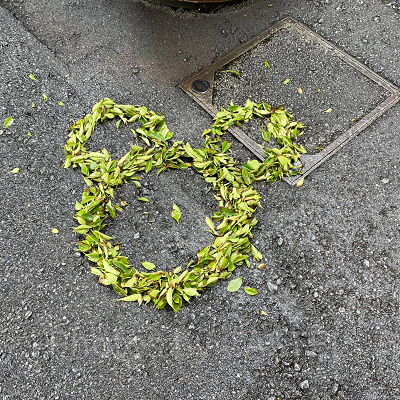 落ち葉でできたミッキーシェイプ