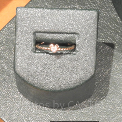 ミッキーシェイプリング