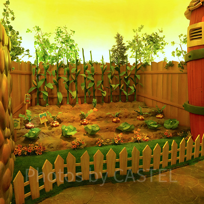 ミッキーの家の裏庭