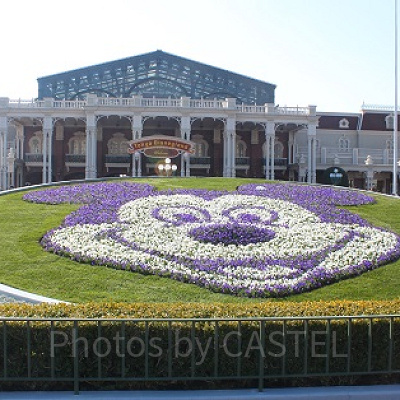 ミッキーの花壇は季節によって全く違う表情に