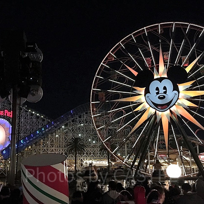 ミッキーのファンウィール