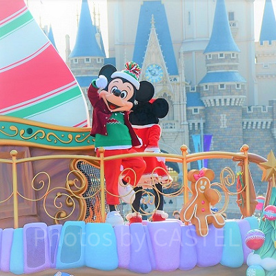 ミッキーのプロフィール