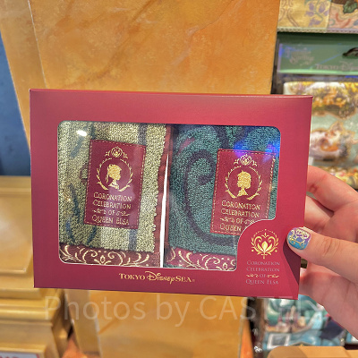 ミニタオルセット(アナとエルサのフローズンジャーニーグッズ)