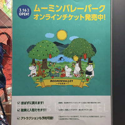 ムーミンバレーパークのチケット
