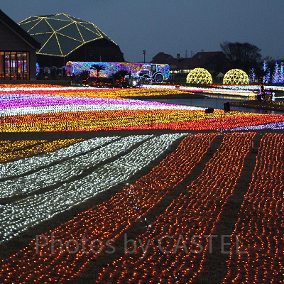 マザー牧場のイルミネーション2020