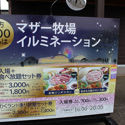 マザー牧場のイルミネーションの料金