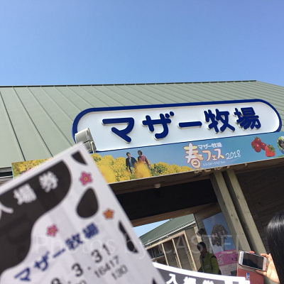 マザー牧場のチケット