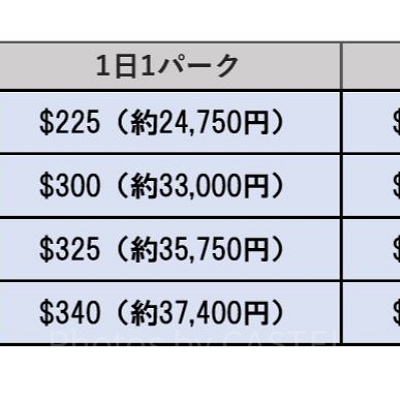 マルチデイパスポートの値段