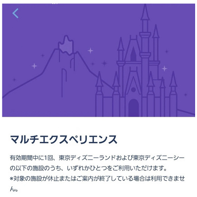 ディズニーマルチエクスペリエンスの使い方| キャステル | CASTEL