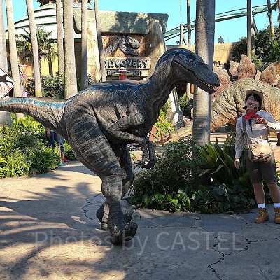 マイ・フレンド・ダイナソーの様子