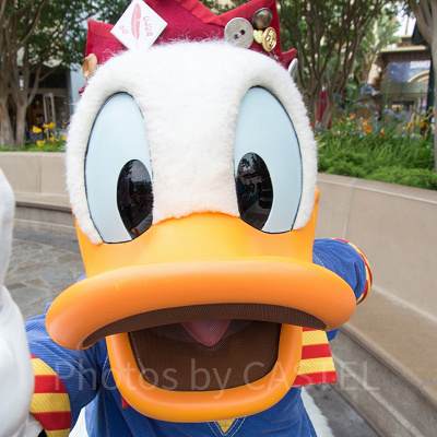 成田空港⇔ディズニーのバス：注意点