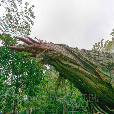 Pandora - The World of Avatar エリア入り口付近（アニマルキングダム・昼）<br /> 設定：16㎜ SS1/500 F10 ISO100