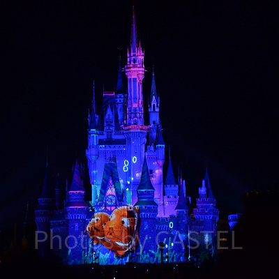 ニモとマーリンの家族愛