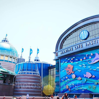 ニモ＆フレンズ・シーライダー