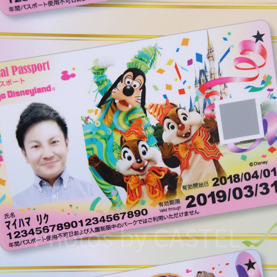 【新デザイン】ディズニーランド年間パスポート（2018年3月1日（木）～2019年3月25日（月））