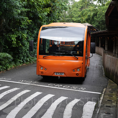 ナイトサファリ：無料トラム