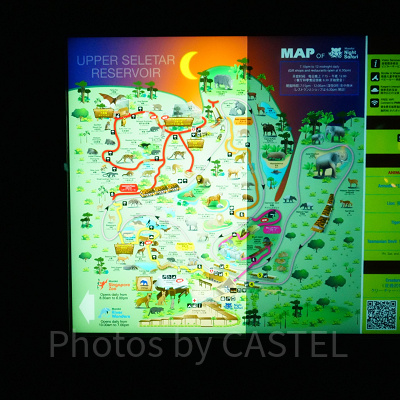 ナイトサファリ：トレイルルートのマップ