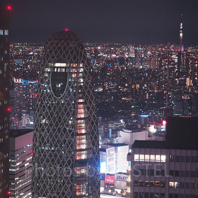 北側からの夜景。右手に東京スカイツリーが見えます