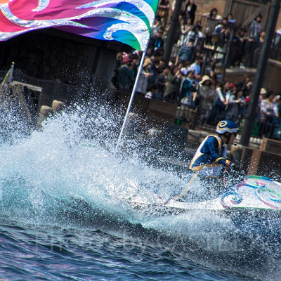 通常撮り作例<br /> 設定：300㎜ SS1/320 F8.0 ISO100