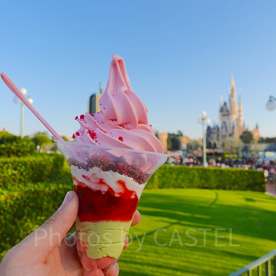 11月ディズニーランド混雑レポ：(15:20頃)